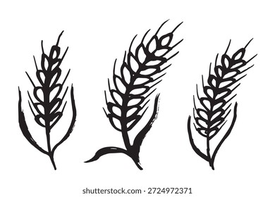 Set of hand drawn cereal wheat oat rye barley rice ears spikelet clipart Organic wheat bread agriculture farming harvest healthy food Single element for design print packaging label decor