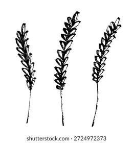 Set of hand drawn cereal wheat oat rye barley rice ears spikelet clipart Organic wheat bread agriculture farming harvest healthy food Single element for design print packaging label decor