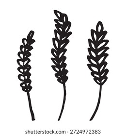 Set of hand drawn cereal wheat oat rye barley rice ears spikelet clipart Organic wheat bread agriculture farming harvest healthy food Single element for design print packaging label decor