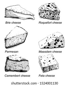 Set of hand drawn cheese: brie, roquefort, parmesan, maasdam, camembert, feta. Elements isolated on white background. Black and white sketch with line art.