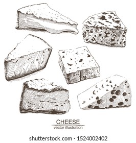 Set of hand drawn cheese: brie, roquefort, parmesan, maasdam, camembert, feta. Elements isolated on white background. Brawn and white sketch with line art.