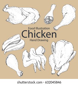 Set of hand drawn chicken isolated. Vector illustration for your design