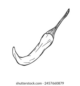 Juego de pimiento picante dibujado a mano. Ilustración vectorial aislada en blanco