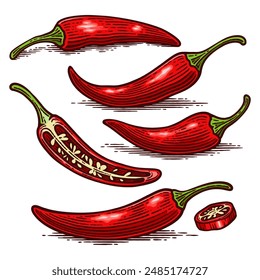 Set of Hand Drawn Chili Pepper, Vintage Vector Illustration Collection