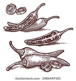 Conjunto de pimienta de chile dibujado a mano, línea de arte grabado estilo Colección de Ilustración vectorial	
