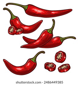 Set of Hand Drawn Chili Pepper, Vintage Vector Illustration Collection