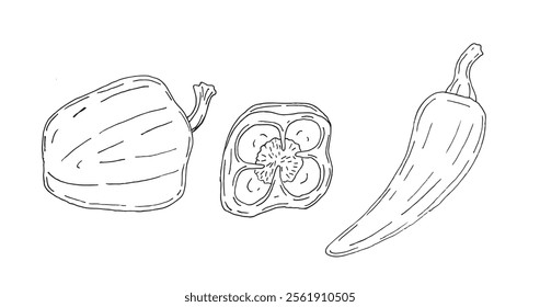 Set of hand drawn chili pepper. 100% hand drawn vector image.