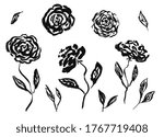 Set of hand drawn chinese black ink rose or peony flowers and leaves. Sketch vector inky floral blossoms and grass elements texture for pattern design, greeting card decoration, logo