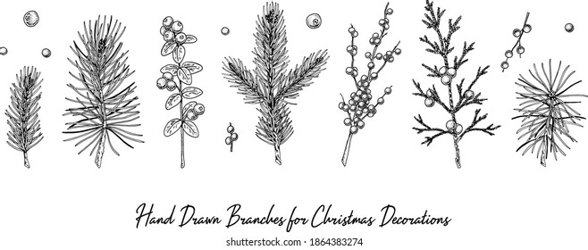 Set of hand drawn Christmas plants isolated on white background. Christmas decoration elements. Vector illustration in sketch style