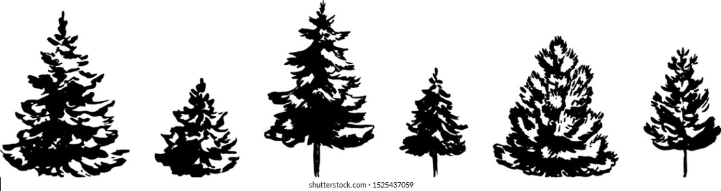 Set of hand drawn Christmas tree isolated on white background. Vector illustration in sketch style. Christmas design element