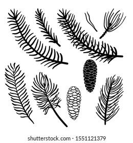Set of hand drawn Christmas tree branches isolated on white background. Pine, fir, spruce branches and cone silhouettes. Christmas design elements. Vector illustration