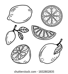 Set of hand drawn citrus fruit lemons isolated on a white background. Doodle, simple outline illustration. It can be used for decoration of textile, paper and other surfaces.