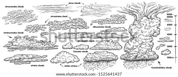 Set of hand drawn clouds, vector black line\
sketch. Weather vintage illustrations. Different types of clouds\
isolated on white backgraund. Stratus, nimbo stratus, cumulonimbus,\
cumulus, nimbus clouds.