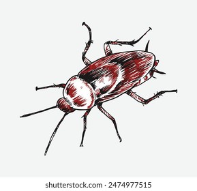 Set of hand drawn of cockroach. sketch drawing. Isolated background. Vector illustration.