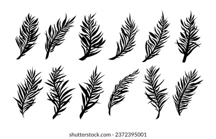 Set of hand drawn coconut palm leaf silhouette design
