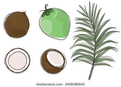 Set of hand drawn coconuts. coconut fruit and coconut elements vector illustration. line art coconut cartoon. 