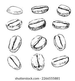 Set of hand drawn coffee beans. Hatched coffee beans in sketch style. Black and white linear illustration. Engraved drawing.