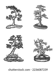 Set hand drawn colection bonsai tree. Drawing small potted tree vector illustration. Garden concept plants drawing vector art.