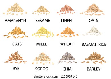 Set of hand drawn colored piles of cereal grains isolated on white. Amaranth, sesame, linen, oats, millet, wheat, rye, sorgo, chia, barley, rice. Stylized vector illustration.