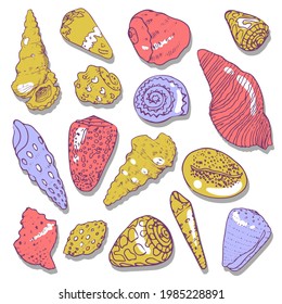 Set with hand drawn colored shells. Isolated on white background. Vector illustration. Engraving style, poster, clip-arts. Paper, textile design. Underwater, sea, ocean, marine, spiral, tropical.