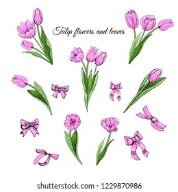 Set hand drawn colored  sketch with pink  tulip flowers, leaves and bows isolated on white  background. Vector illustration.