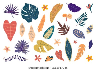 Set of hand drawn colorful abstract tropical leaves. Summer exotic plants, branches and flowers. Boho botanical collection. Rainforest monstera, banana tree, palm foliage. Flat vector illustration.
