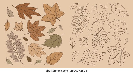 Set of hand drawn colorful autumn leaves Isolated on beige background. Simple cartoon flat style vector illustration. Botanical forest fall leaf for thanksgiving, halloween, fall sale, linear tattoo