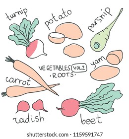 Set with hand drawn colorful doodle vegetables. Vegetables flat icons set: turnip, potato, yam, parsnip, carrot, beet, radish