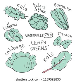 Set with hand drawn colorful doodle vegetables. Vegetables flat icons set of leafy greens : kale, iceberg lettuce, romaine, spinach, cabbage, collard,