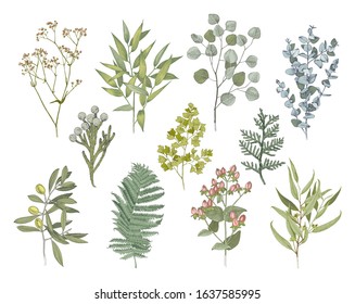 Set of hand drawn colorful flowers, leaves and branches. Decorative greenery. Sketched vector illustration. Great for wedding invitation, textile, summer decoration designs