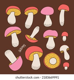 Set of Hand drawn colorful forest wild assorted edible mushrooms. Can be used for menu design, label, icon, recipe, packaging, web. Botanical sketch linear vector collection