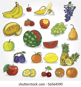 Set of Hand Drawn Colorful Fruit