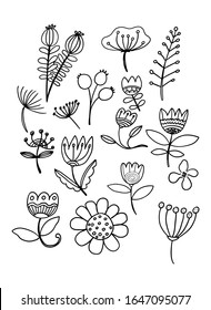 Set of hand drawn colorful set of  leaf, herbs and flowers. Detailed botanical illustrations. Vector plants design collection