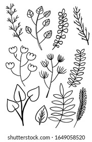Set of hand drawn colorful set of  leaf, herbs and flowers. Detailed botanical illustrations. Vector plants design collection