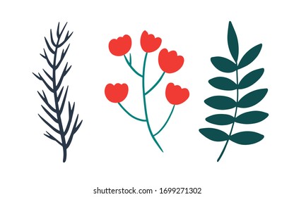 Conjunto de hojas, hierbas y flores pintadas a mano. Ilustraciones botánicas detalladas. Colección de diseño de plantas de vectores