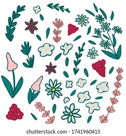 Set of hand drawn colorful set of  leaf, herbs and flowers. Detailed botanical illustrations. Vector plants design collection