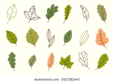 Set of hand drawn colorful leaves isolated on white background. Beautiful doodle collection of leaves.