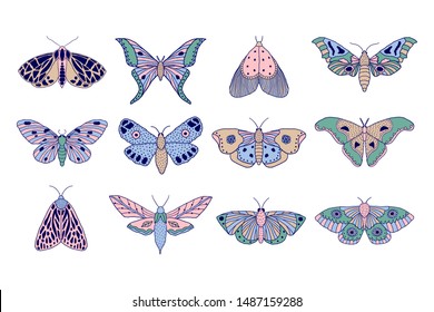 Set of hand drawn colorful moths and butterflies in doodle style on white background