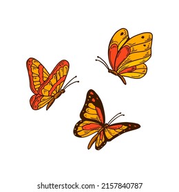 Set of hand drawn colorful orange butterflies. Vector illustration