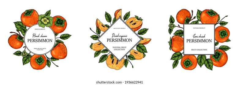 Set of hand drawn colorful persimmon design. Vector illustration in colored sketch style. 