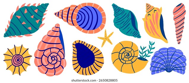 Set of hand drawn colorful shells with texture. Seashells set. Marine life elements. Vector clipart
