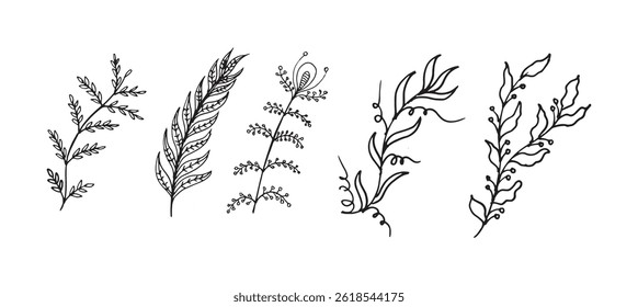 Set hand drawn colorless floral decorative elements	
