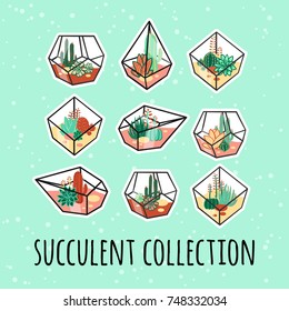 Set of Hand drawn contained tropical house plants. Scandinavian style illustration, modern and elegant home decor. Vector print design with terrariums with exotic plants.