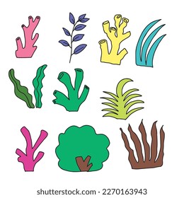 Set of hand drawn coral and leaf ocean life doodles object design.