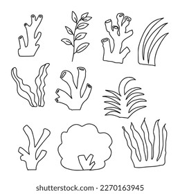 Set of hand drawn coral and leaf ocean life doodles object design.