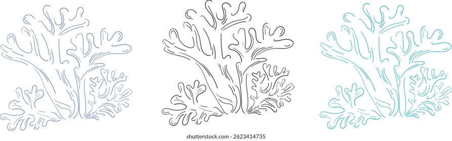 Set of hand drawn coral in three color variations. Minimalist line art. Design elements. Vector flat illustration