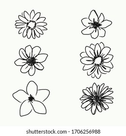 Set of hand drawn creative flower sketch. Vector design.