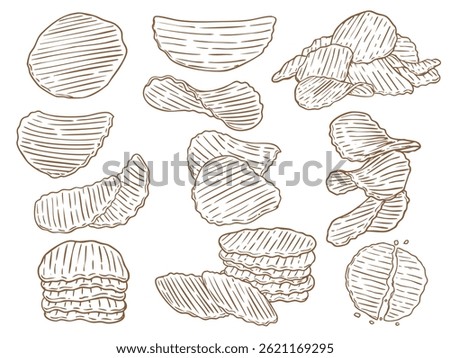 Set of hand drawn crunchy potato chips food illustration vector 