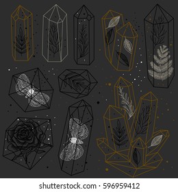 Set of hand drawn crystals and leafs, moths, rose inside gems. Transparent terrariums. Black and white, and golden colors. Vector illustration.