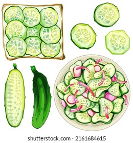 The set of hand drawn cucumber